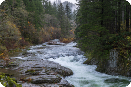 ABC_Fire_Extinguisher_washougal